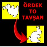 Ördek Tavşan Değişi...